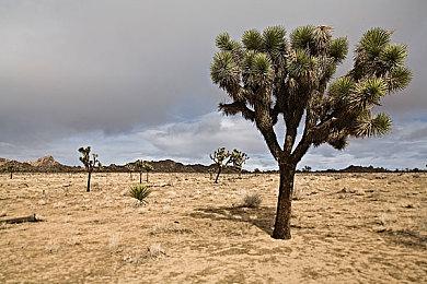 《星刃》玩家精美截图欣赏 性感妹子前凸后翘太美了