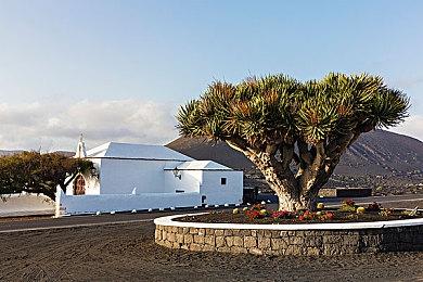 Fami通新一期销量榜 《任天堂Switch运动》登顶